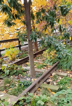 20181107_155249.jpg