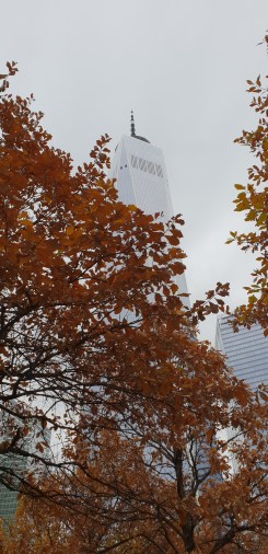 20181109_085813(0)
